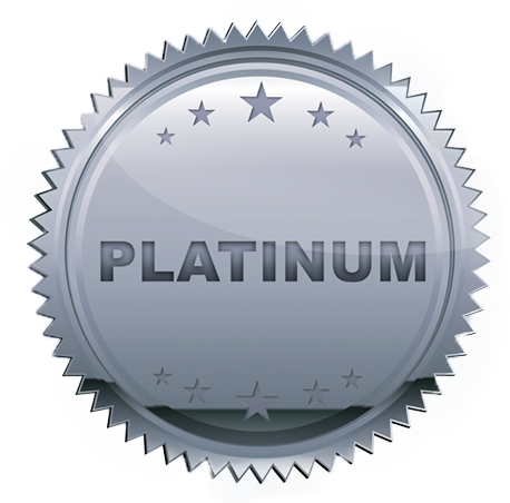 PLATINUM - FORDONSKATEGORI A