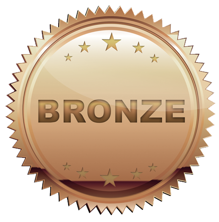 BRONS - FORDONSKATEGORI B
