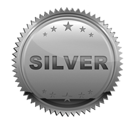 SILVER - FORDONSKATEGORI B